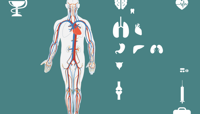 深圳骏驰疫情最新招聘:让你的职业生涯在新时代焕发新的活力 深圳骏驰疫情最新招聘:让你的职业生涯在新时代焕发新的活力