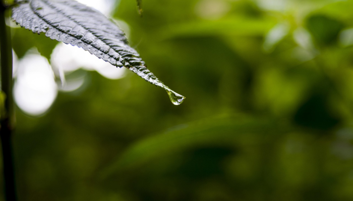 关于疫情最新头条 关于疫情最新头条