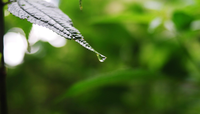 大连疫情动态最新:全面了解当前形势与防控措施 大连疫情动态最新:全面了解当前形势与防控措施