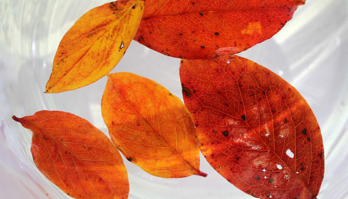 最新无棣疫情情况:全球健康动态与防护策略 最新无棣疫情情况:全球健康动态与防护策略