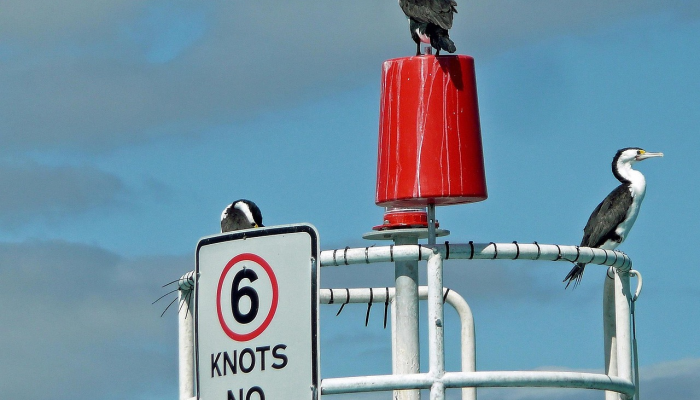 澳洲四周疫情最新情况:全面解析与未来展望 澳洲四周疫情最新情况:全面解析与未来展望