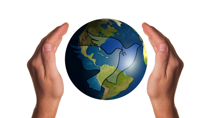 爱尔最新疫情：全球关注的健康前沿