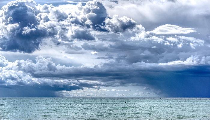 安阳疫情文件最新:你所需的全面信息与最新动态 安阳疫情文件最新:你所需的全面信息与最新动态