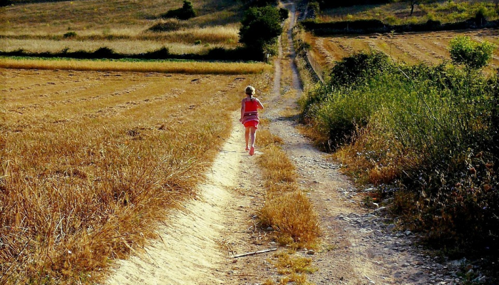 越南最新本土疫情：防疫策略与未来展望