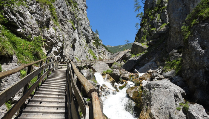 疫情辽宁最新疫情大连：从防控到生活重启，我们共同见证的变革