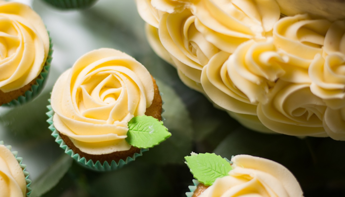 立陶宛最新疫情通报：疫情最新动态与防护策略指南