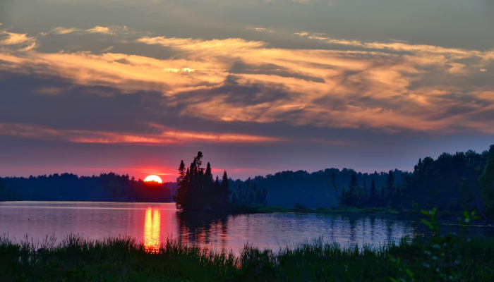 河南疫情图片最新：全面解读最新动态与防疫措施