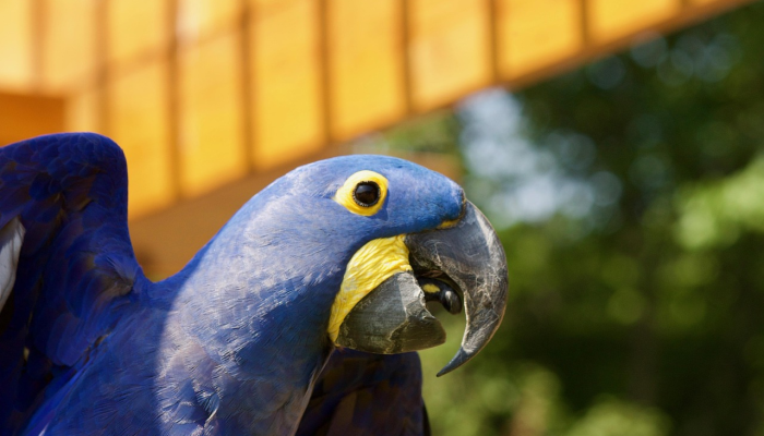 毫州疫情最新排位：最新动态与防疫建议