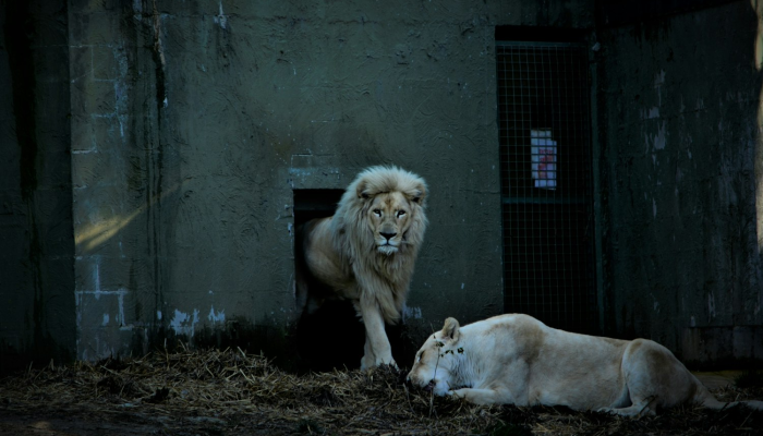 巴州最新疫情：安全防护与健康生活指南