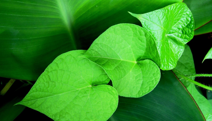 广东省最新情况疫情:防疫成就与未来展望 广东省最新情况疫情:防疫成就与未来展望