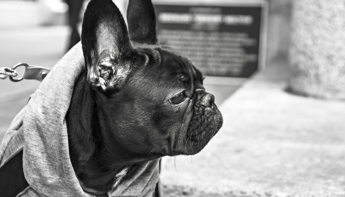 临沂郯城疫情最新进展:你关心的每一个细节 临沂郯城疫情最新进展:你关心的每一个细节