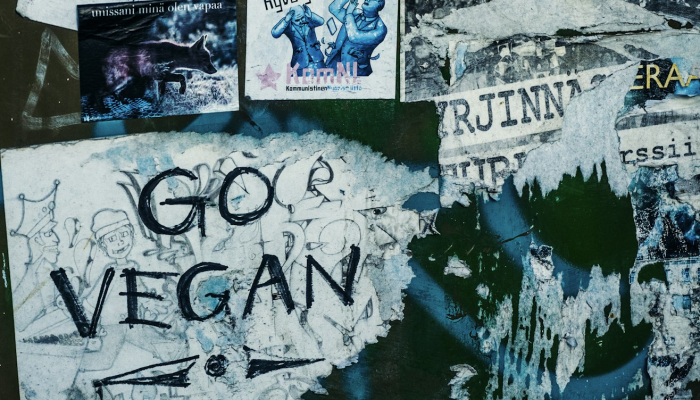 马王堆疫情最新通报:掌握健康第一线的最新动态 马王堆疫情最新通报:掌握健康第一线的最新动态