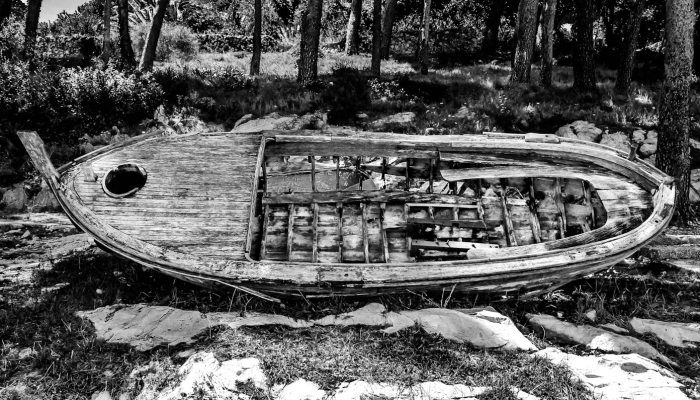 最新新增疫情地区:全球公共卫生的前沿战线 最新新增疫情地区:全球公共卫生的前沿战线