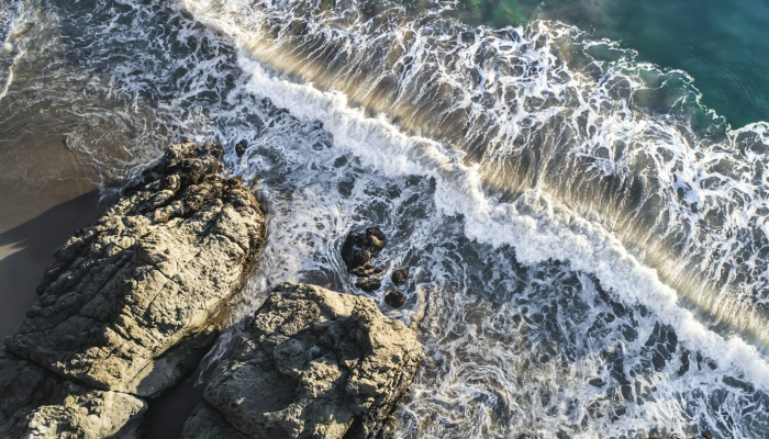 定海疫情最新动态：全面掌握防疫知识与动态更新