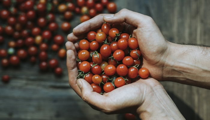 桂花最新疫情：防护与健康的双重保障